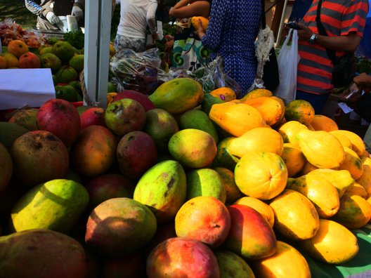 The Saturday Farmers' Market at KCC