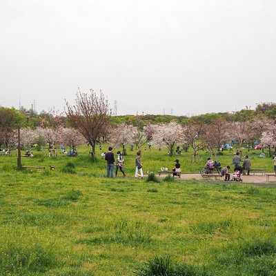舎人公園