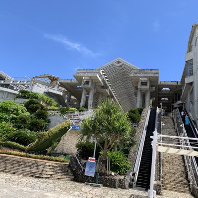 沖縄美ら海水族館