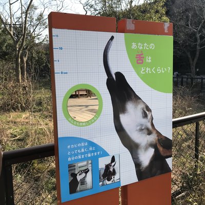 金沢動物園