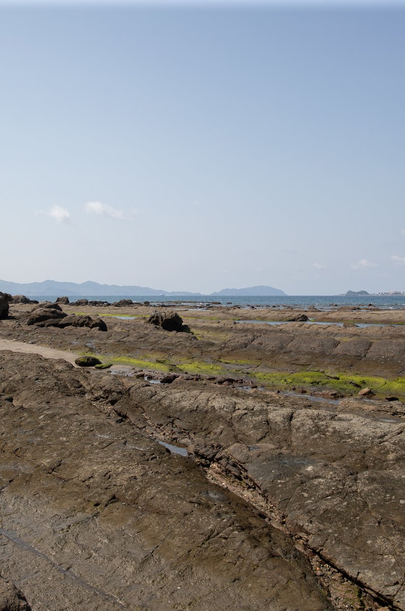 畦の岩這