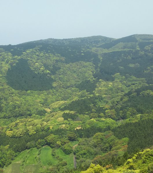 冷水岳公園