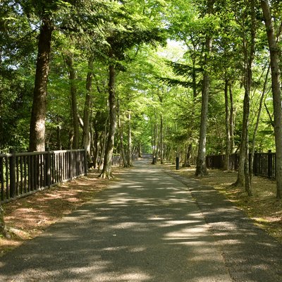 濃溝の滝