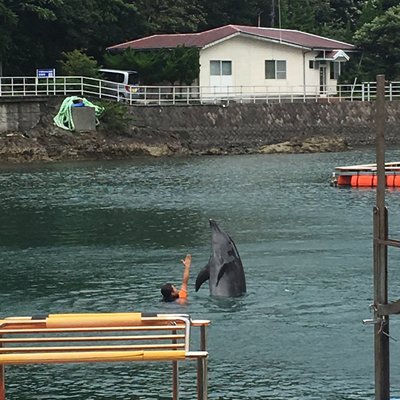 下田海中水族館