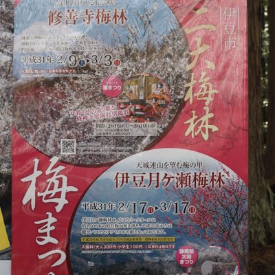 修善寺自然公園