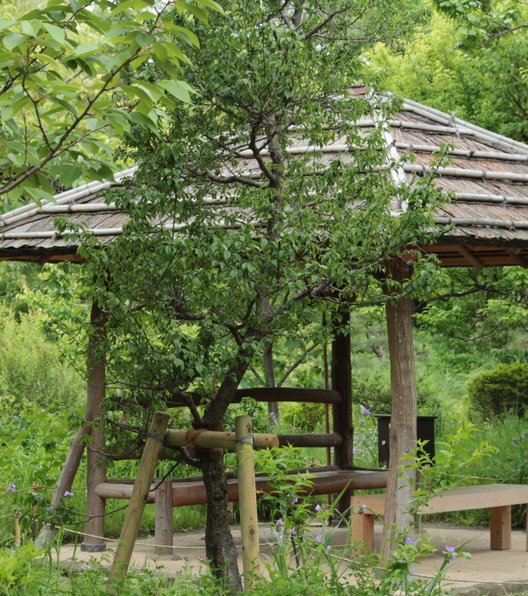 向島百花園