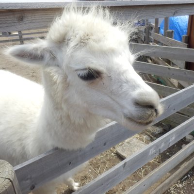 長井海の手公園ソレイユの丘