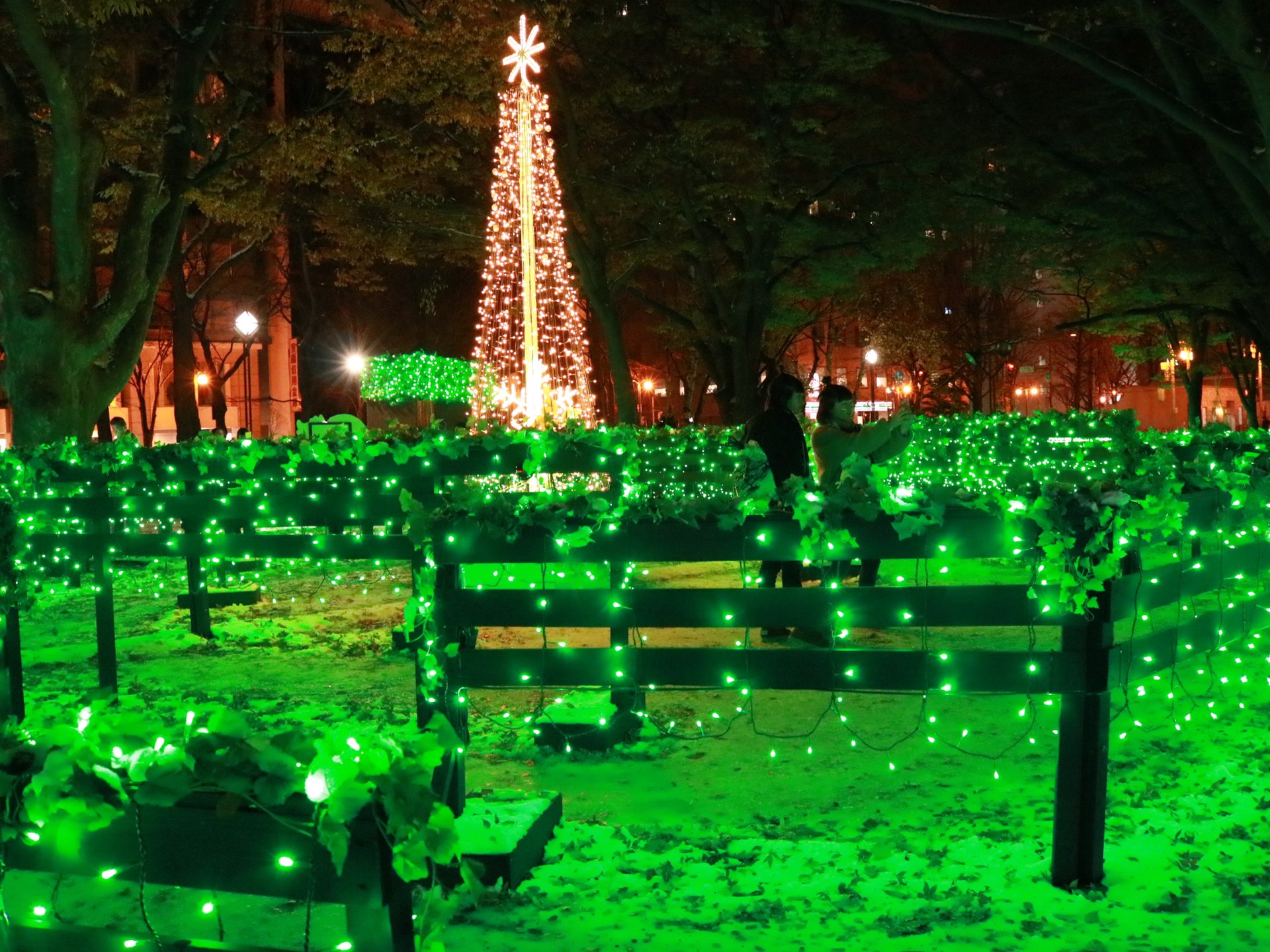 雪に映える幻想的な札幌イルミネーション☆大通公園徒歩1分の人気海鮮店で夜ごはんを食べよう♪