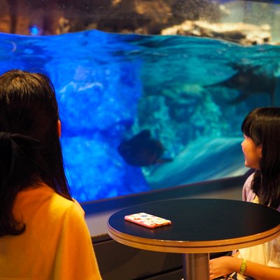 すみだ水族館