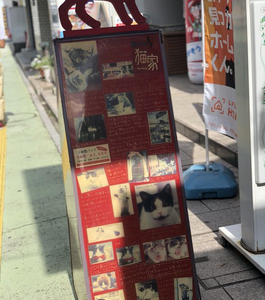 【閉店】猫家