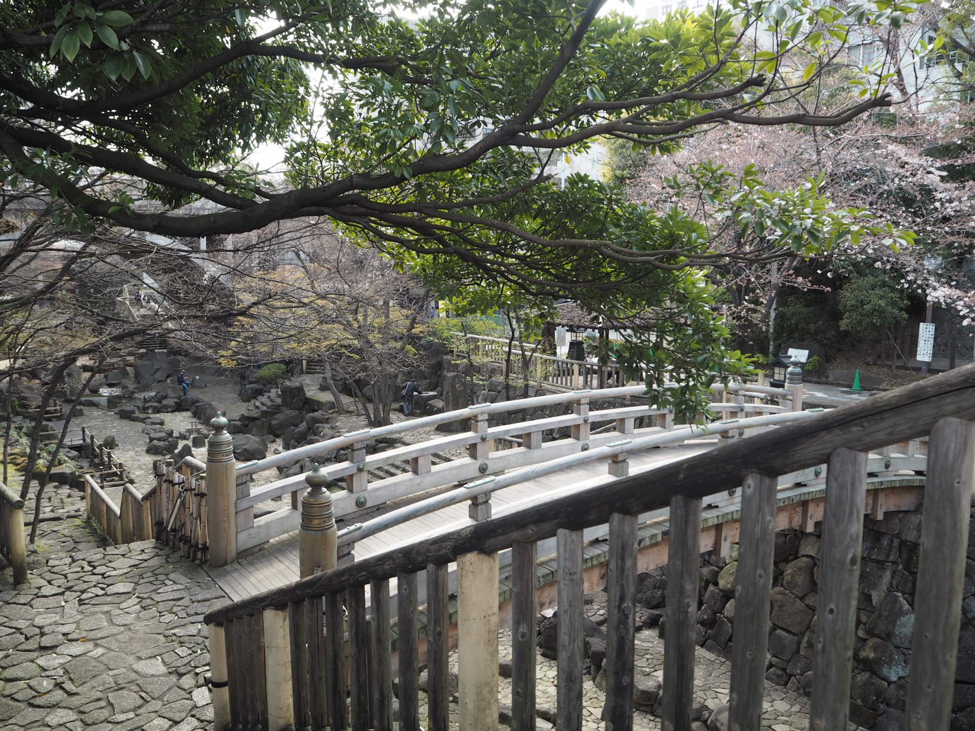 【江戸の桜の名所　飛鳥山公園】晴れの日にカメラを持ってお出かけスポット