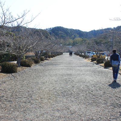 安房神社