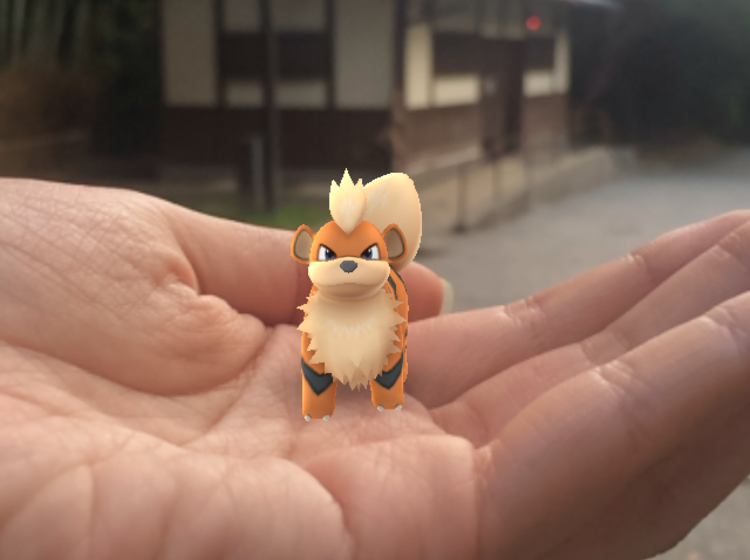 京都でポケモンgo 嵐山公園亀山地区はガーディの巣 気になる噂を徹底検証 その結果は Playlife プレイライフ