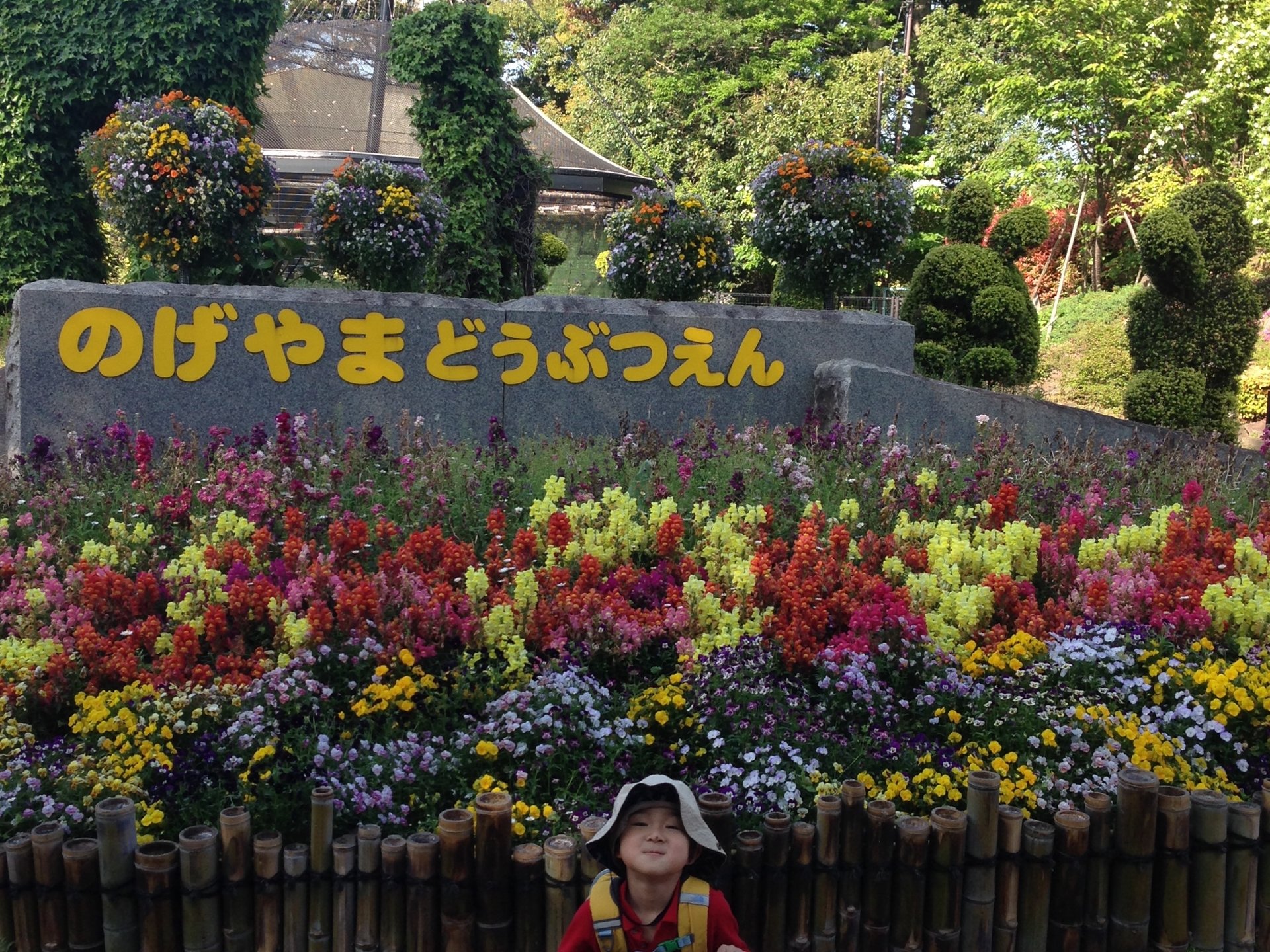 横浜★入園無料野毛山動物園★すぐ近くのオススメの公園&図書館&カフェ予算1人500円★