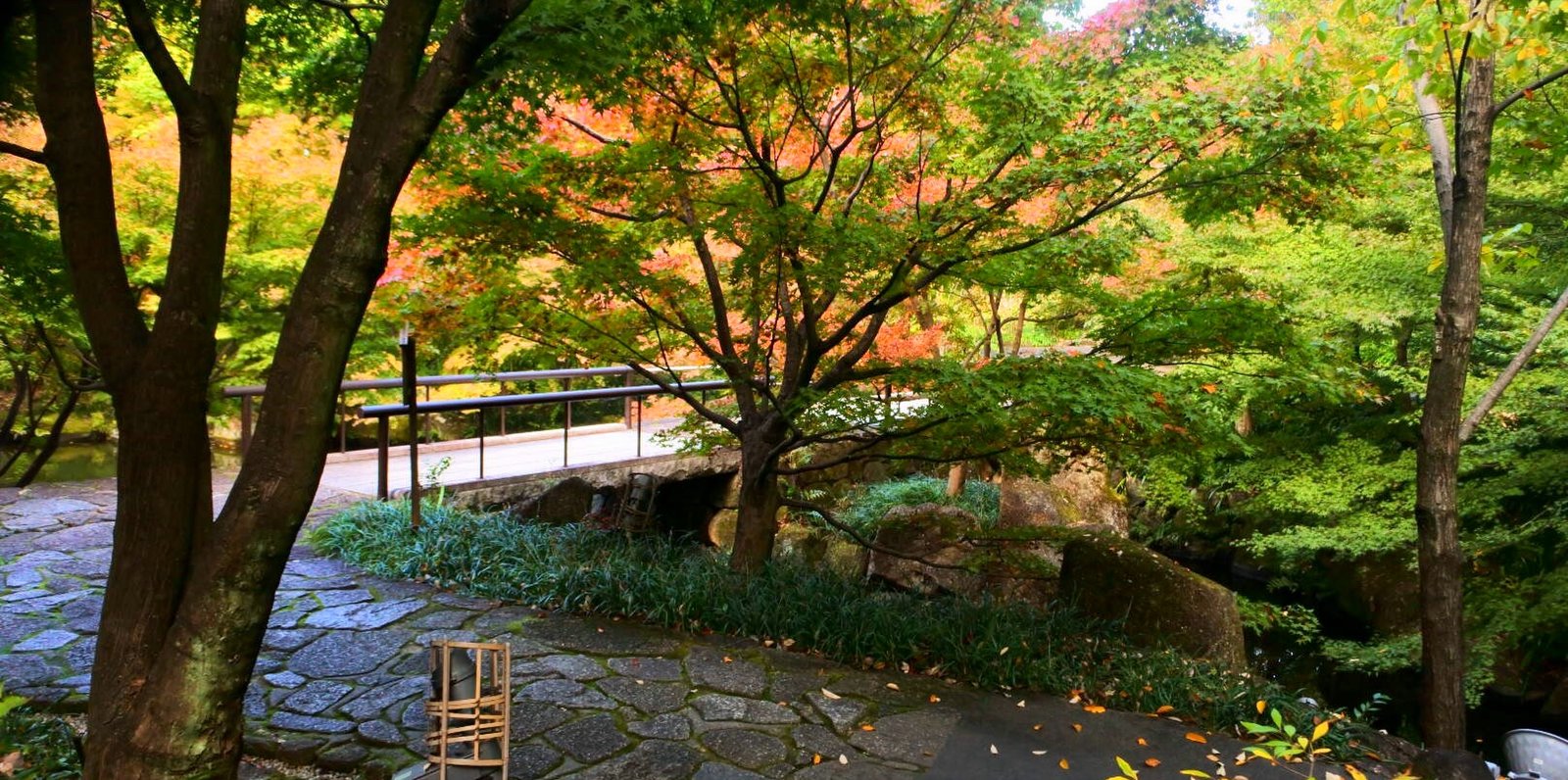 名駅から30分 秋を探して今が見頃の徳川園にある日本庭園の紅葉と周辺を散策してみた Playlife プレイライフ