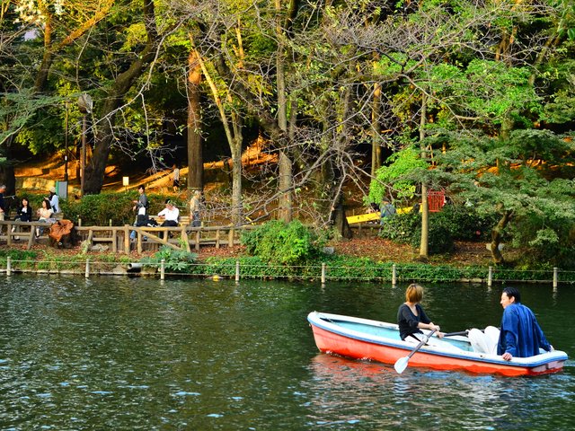 井の頭公園でピクニック 四季折々の景色を観ながら半日デートをしよう Playlife プレイライフ