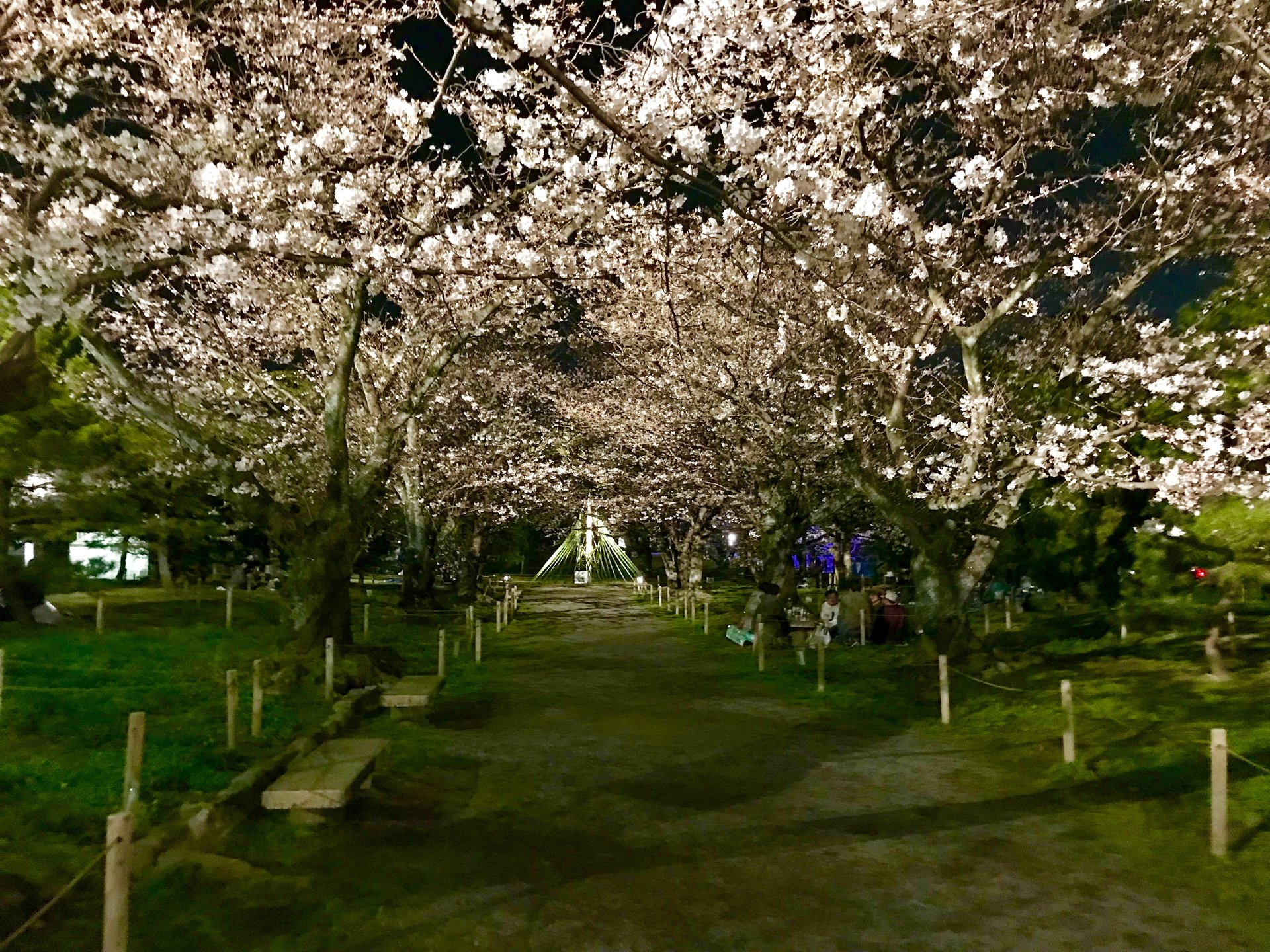 春といえばやっぱりお花見！福岡でおさえておきたい「舞鶴公園」の楽しみ方とは