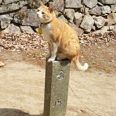 備中松山城