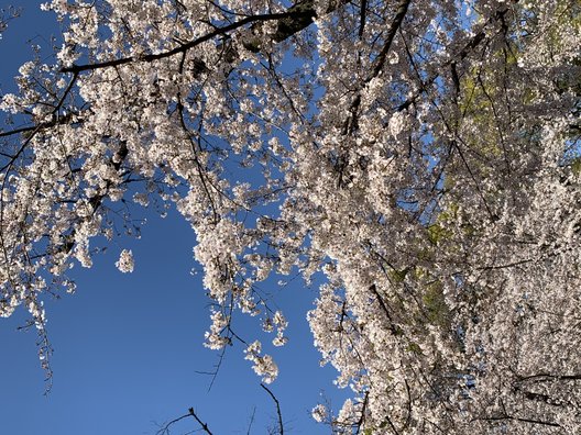 上野公園