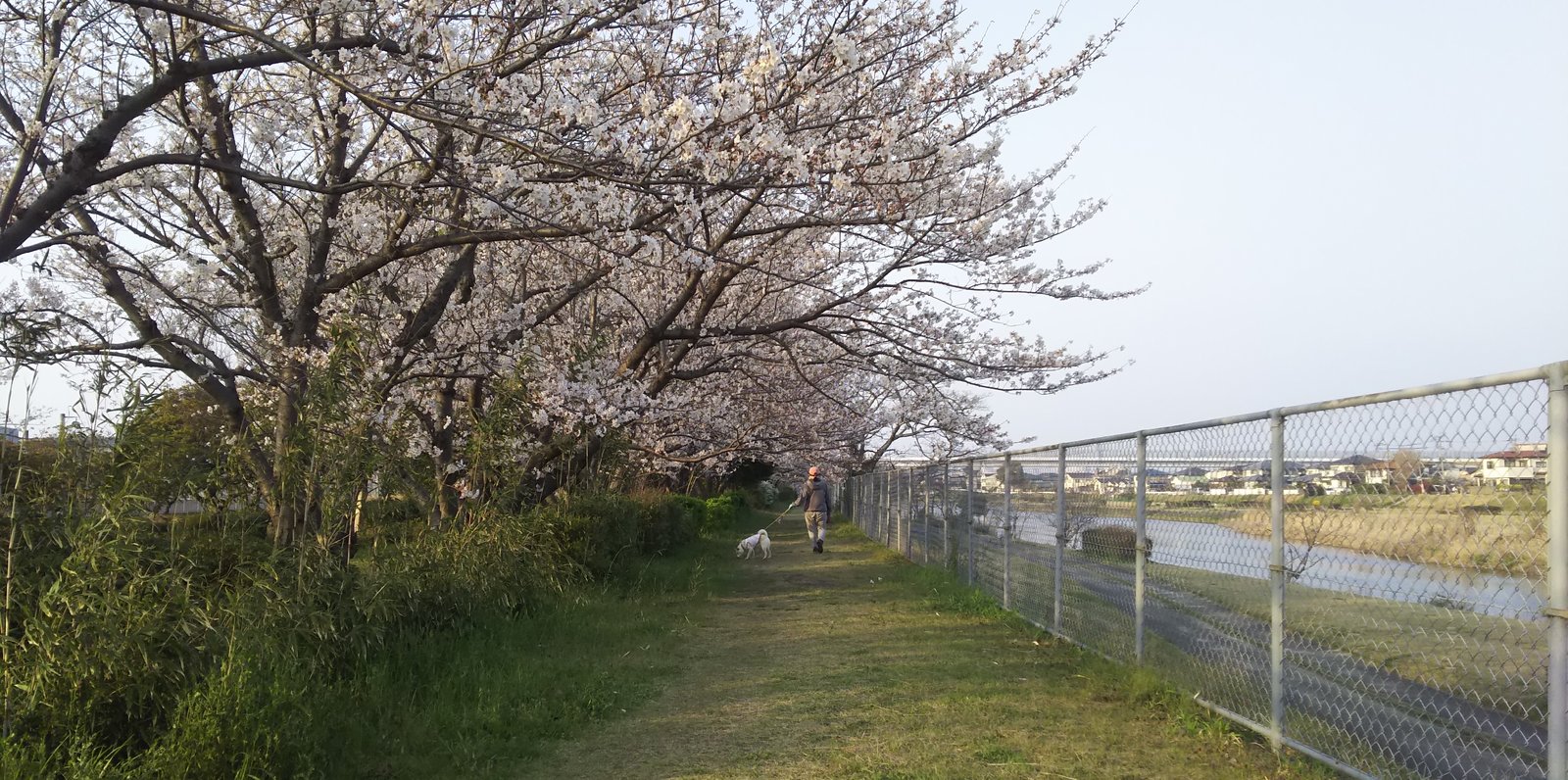 室見川河畔公園