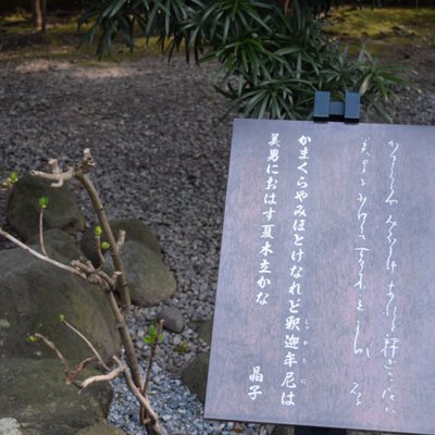 高徳院(鎌倉大仏)