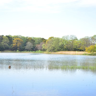 国営昭和記念公園