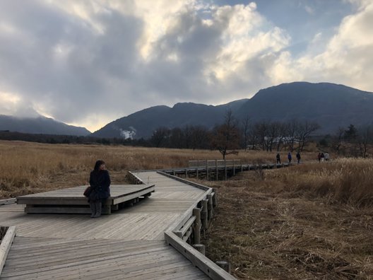 タデ原湿原