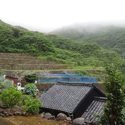 沖の島