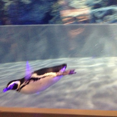 すみだ水族館