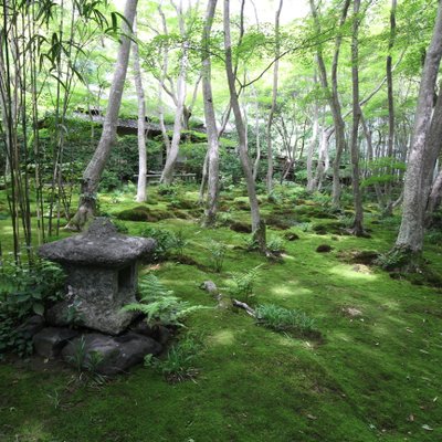 祇王寺