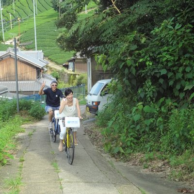 宇治茶の郷 和束の茶畑