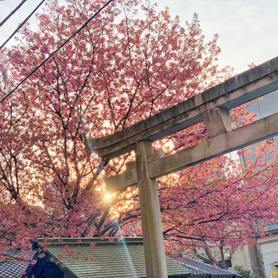 蔵前神社