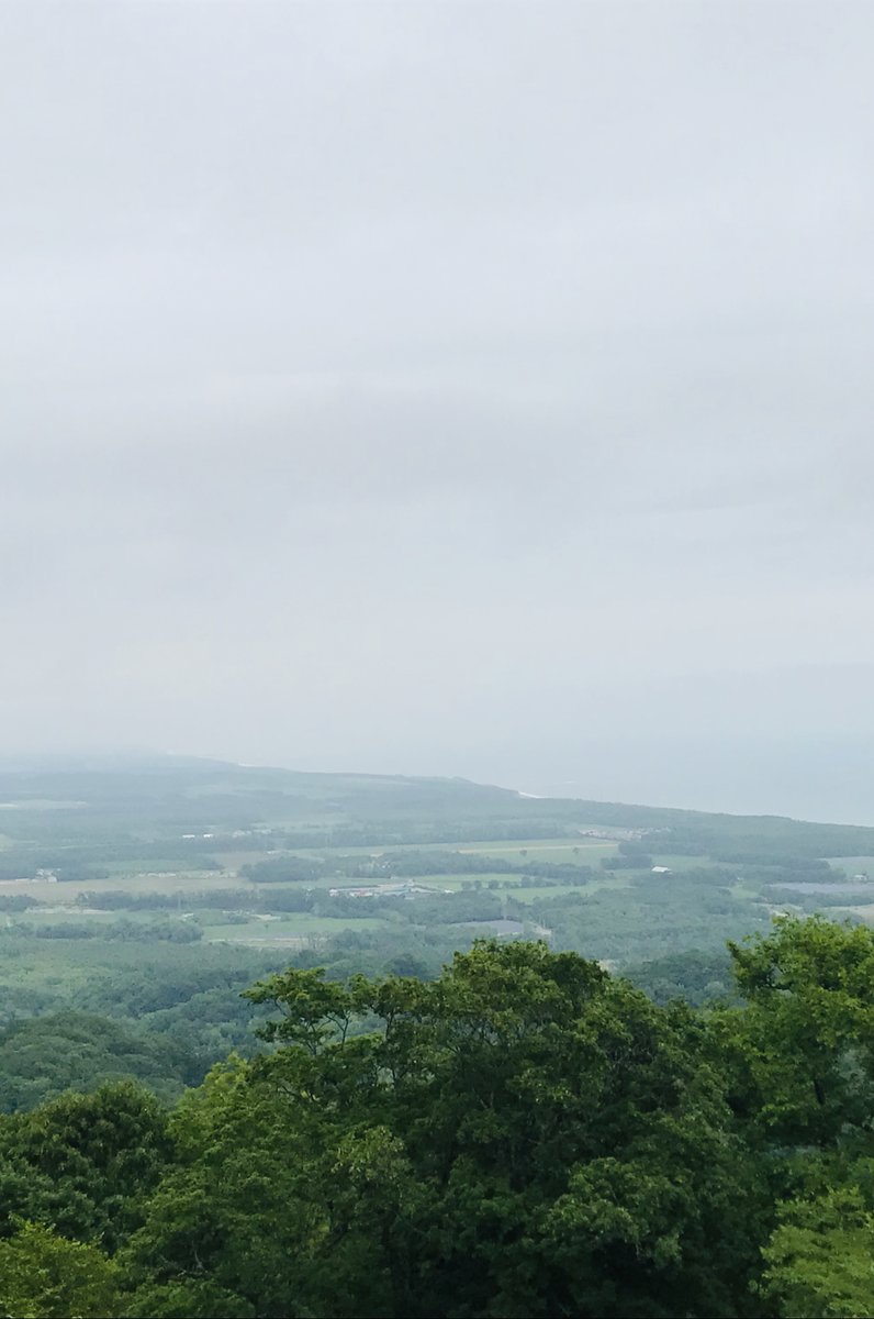 大丸山森林公園