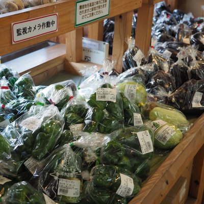 道の駅 八ッ場ふるさと館