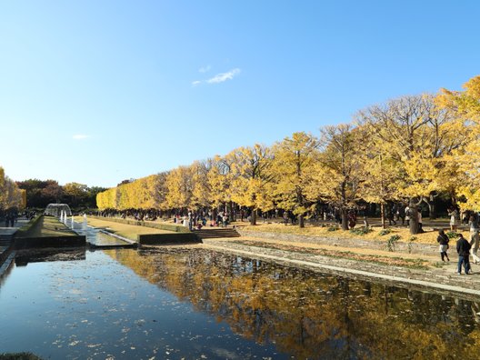 国営昭和記念公園