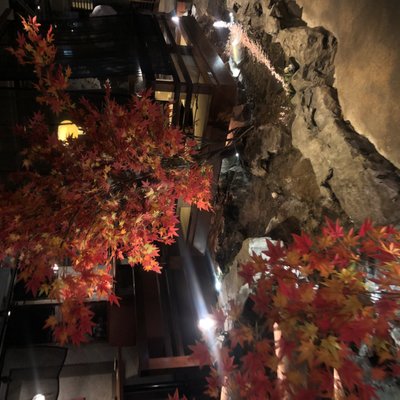 川の音 赤坂店