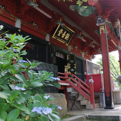 雨引山楽法寺(雨引観音)