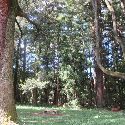 京都府立植物園