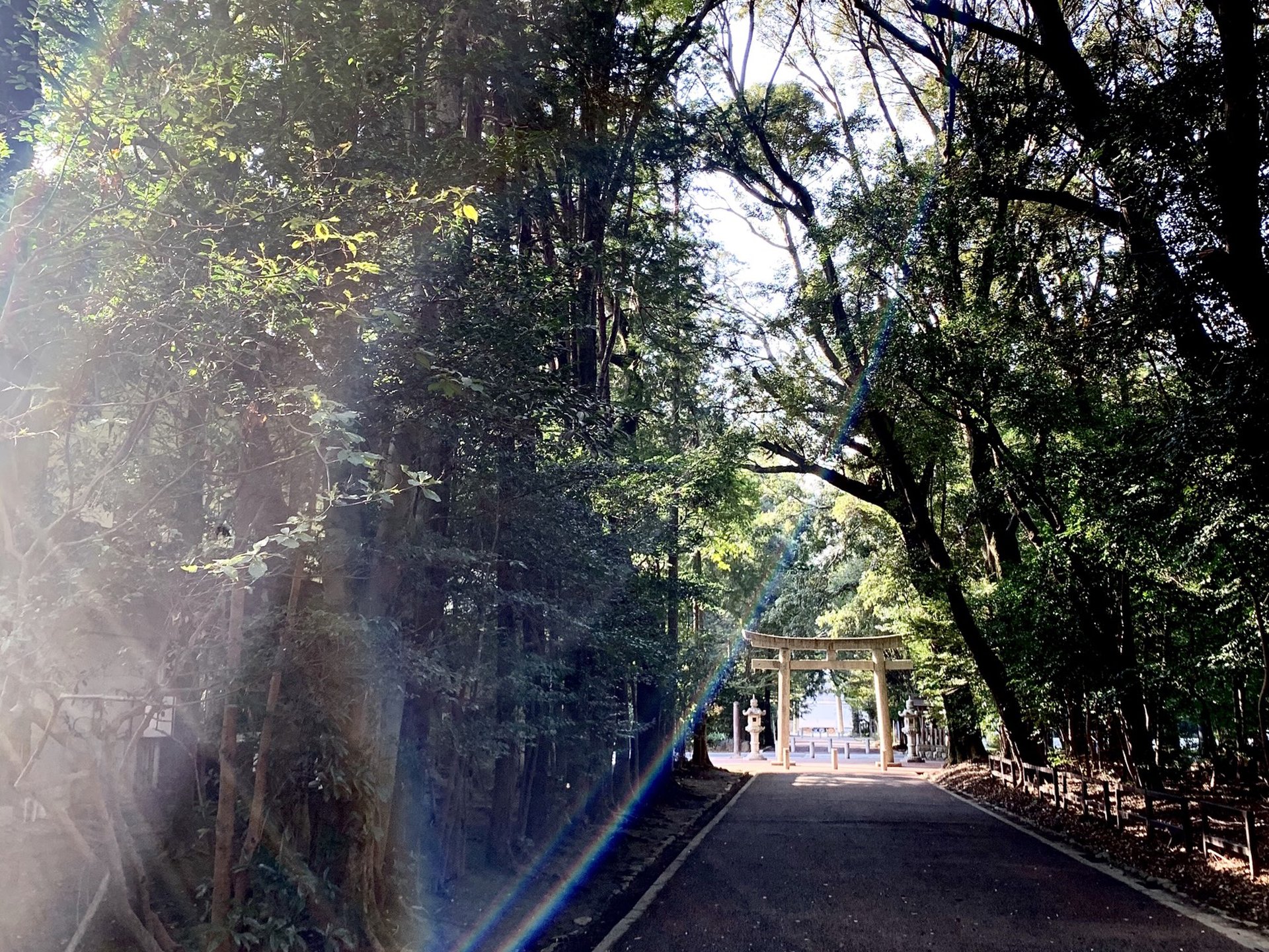 氣の良い神社参拝とご当地グルメに舌鼓。感謝の全国神社巡り旅・愛知県一ノ宮編に行ってきた。