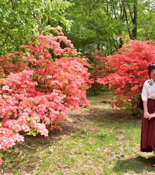 赤城自然園