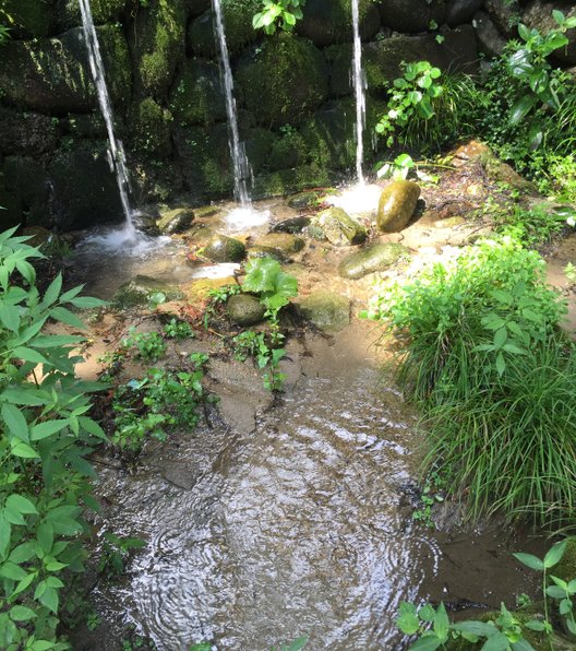 鳩ヶ嶺八幡宮