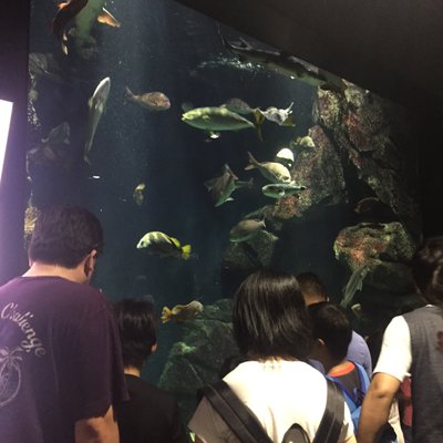 加茂水族館