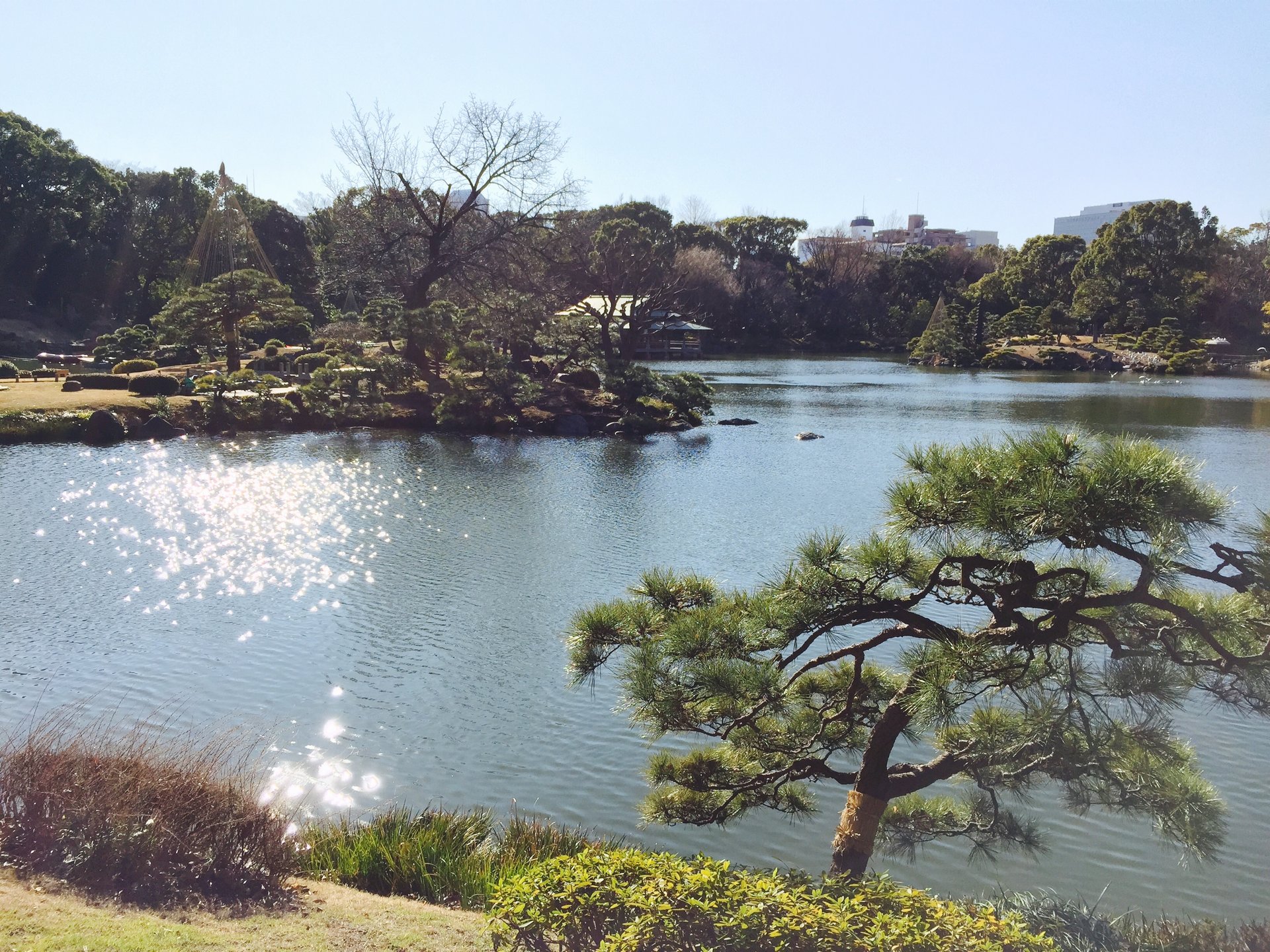 庭園デートにおすすめ！清澄庭園でのんびりと過ごす散策デート