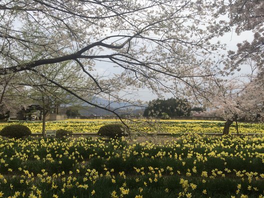 実相寺