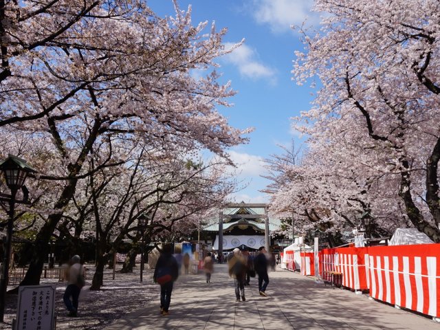 東京中心の有名神社 様々なイベントが行われる靖国神社へ行ってみよう Playlife プレイライフ