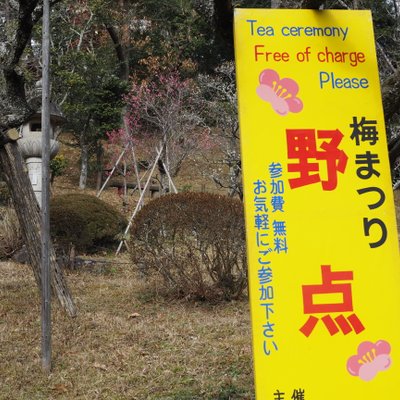 成田山公園内梅林