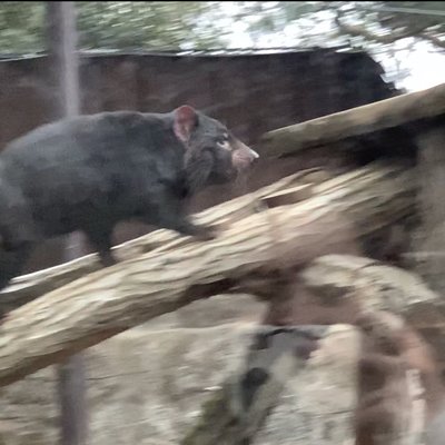 東京都多摩動物公園