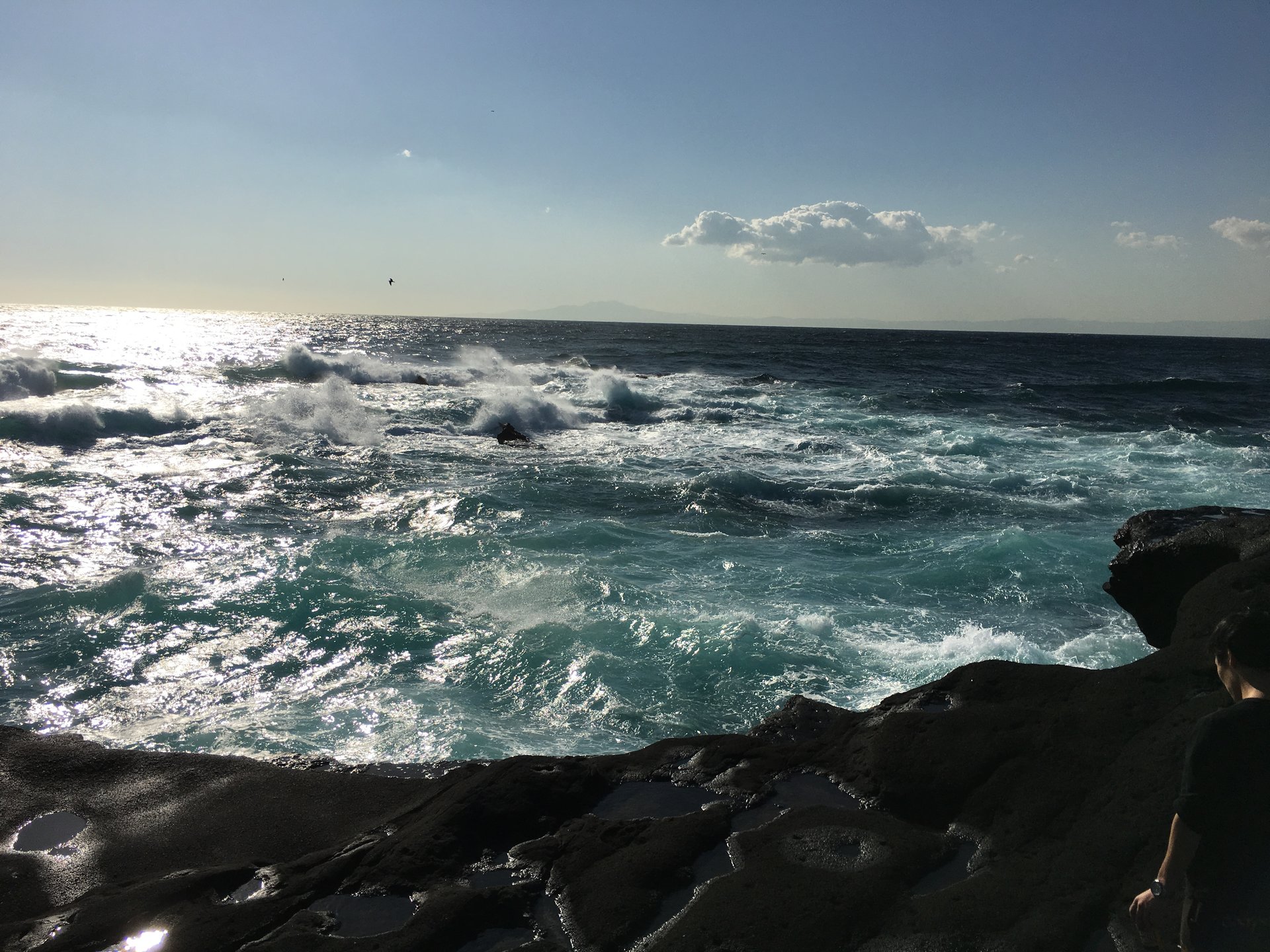 【穴場スポット】三浦海岸最南端・城ヶ島へ行こう！マグロも食べよう！