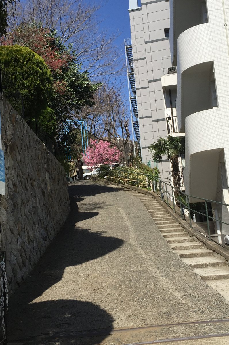 アンスティチュ・フランセ東京