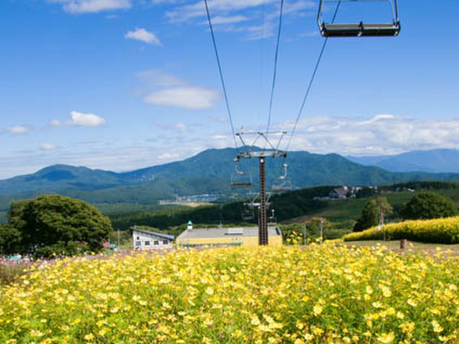 長野県・野尻湖 花畑を空中散歩して、ナウマンゾウを見て、カヌー！【かじか亭、ラ・プーサン、本多】